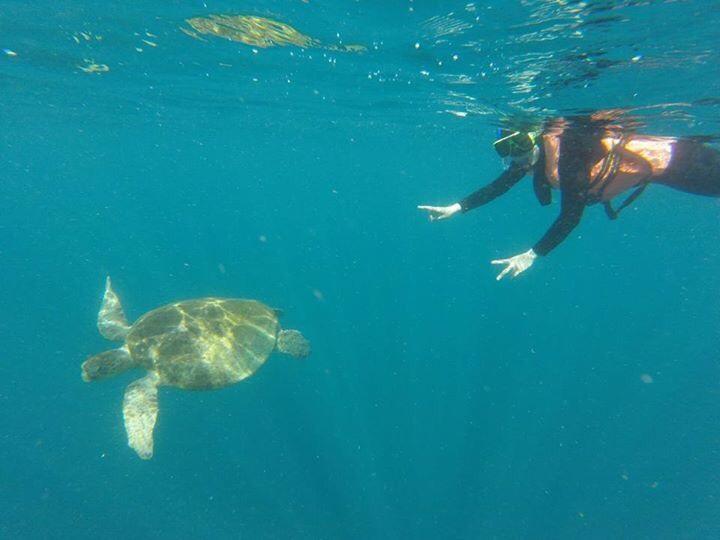 מלון Mabul Island Sipadan Micro Dive מראה חיצוני תמונה